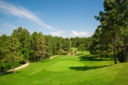 Groene fairway van golfbaan in Mijas omringd door pijnbomen en blauwe lucht